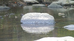 RockCreek (101)